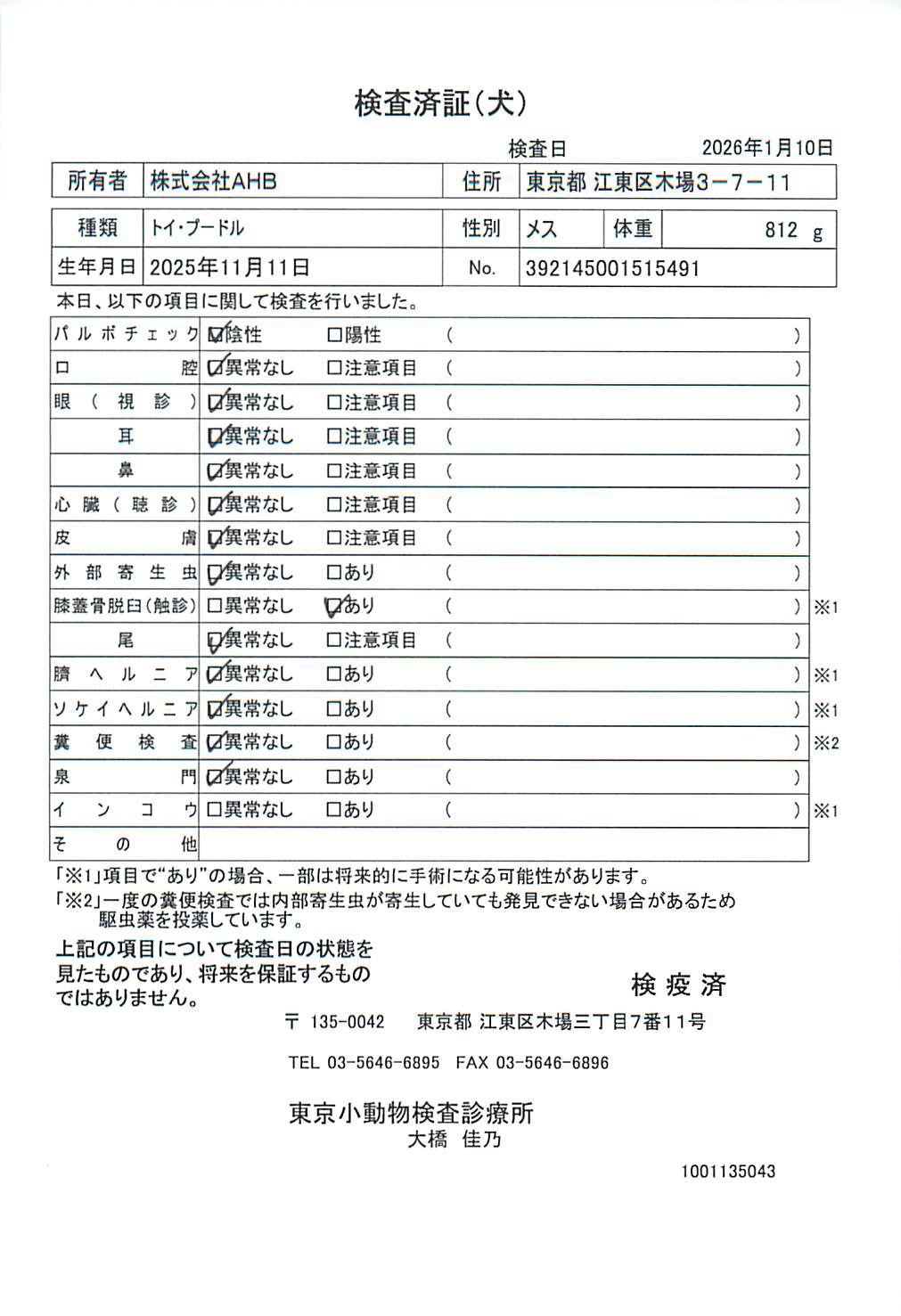トイ・プードル