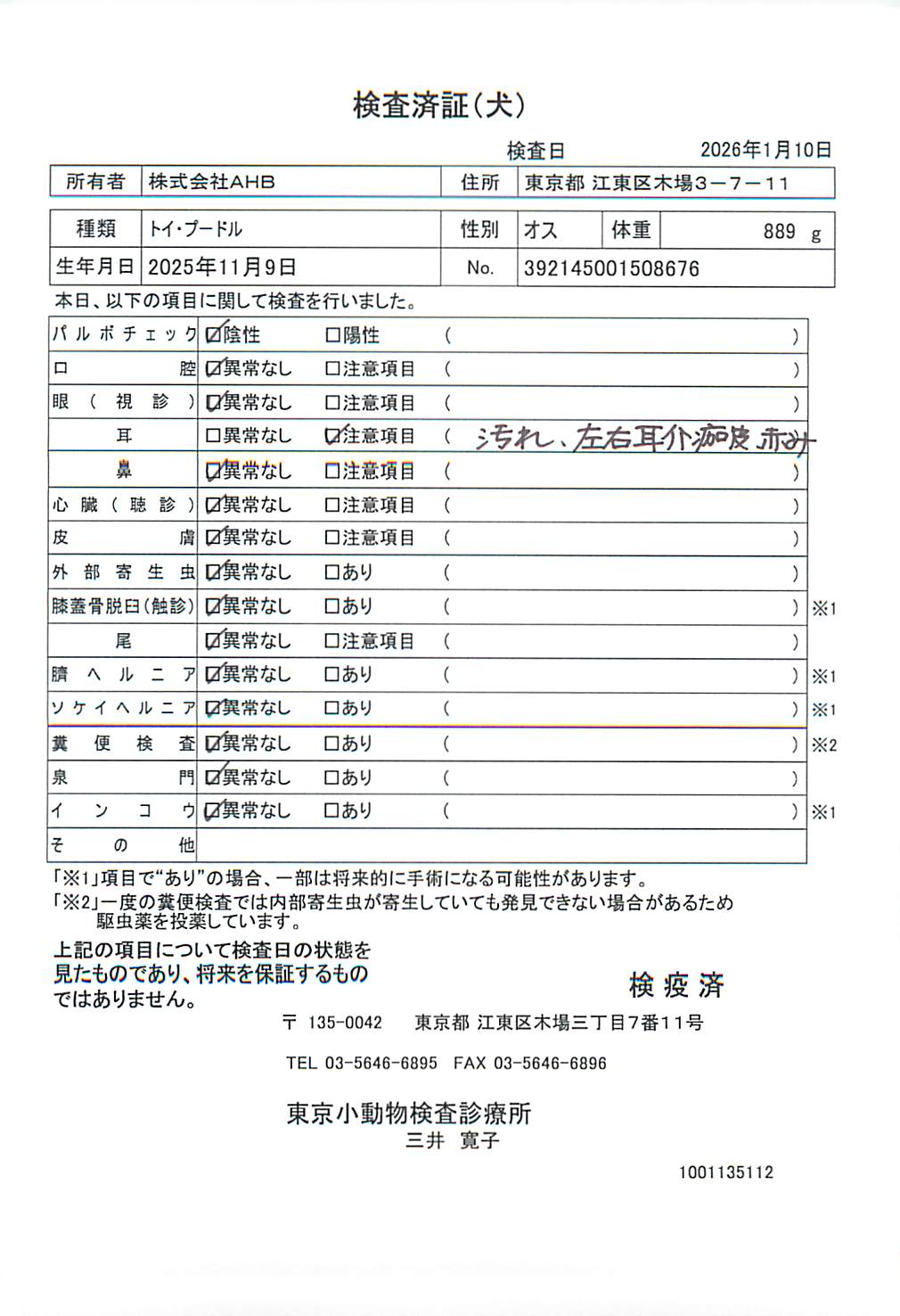 トイ・プードル