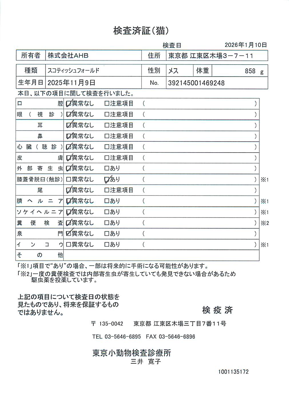 スコティッシュフォールド