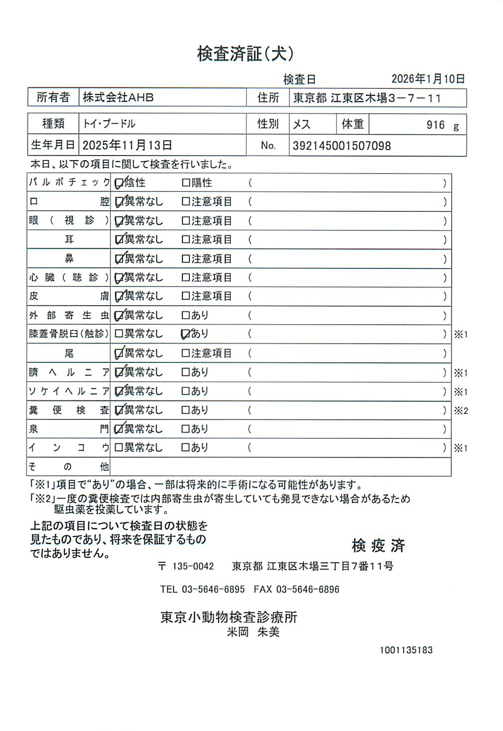 トイ・プードル