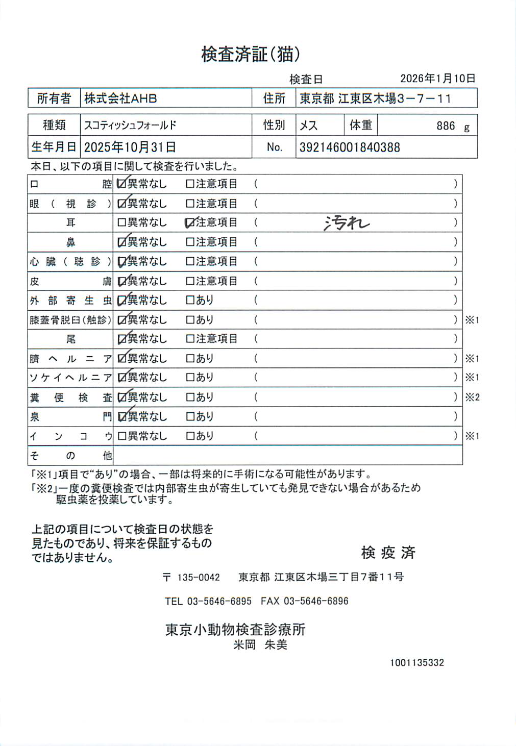 スコティッシュフォールド