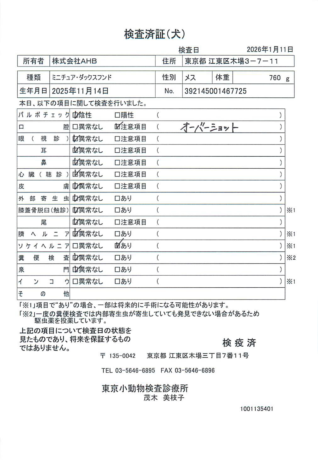 ミニチュア・ダックスフンド