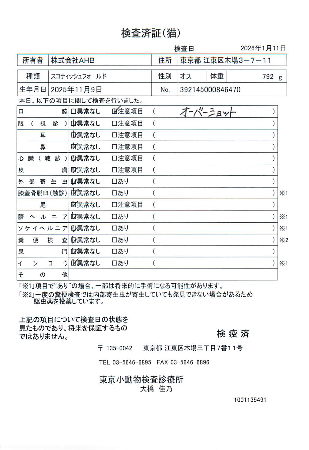 スコティッシュフォールド