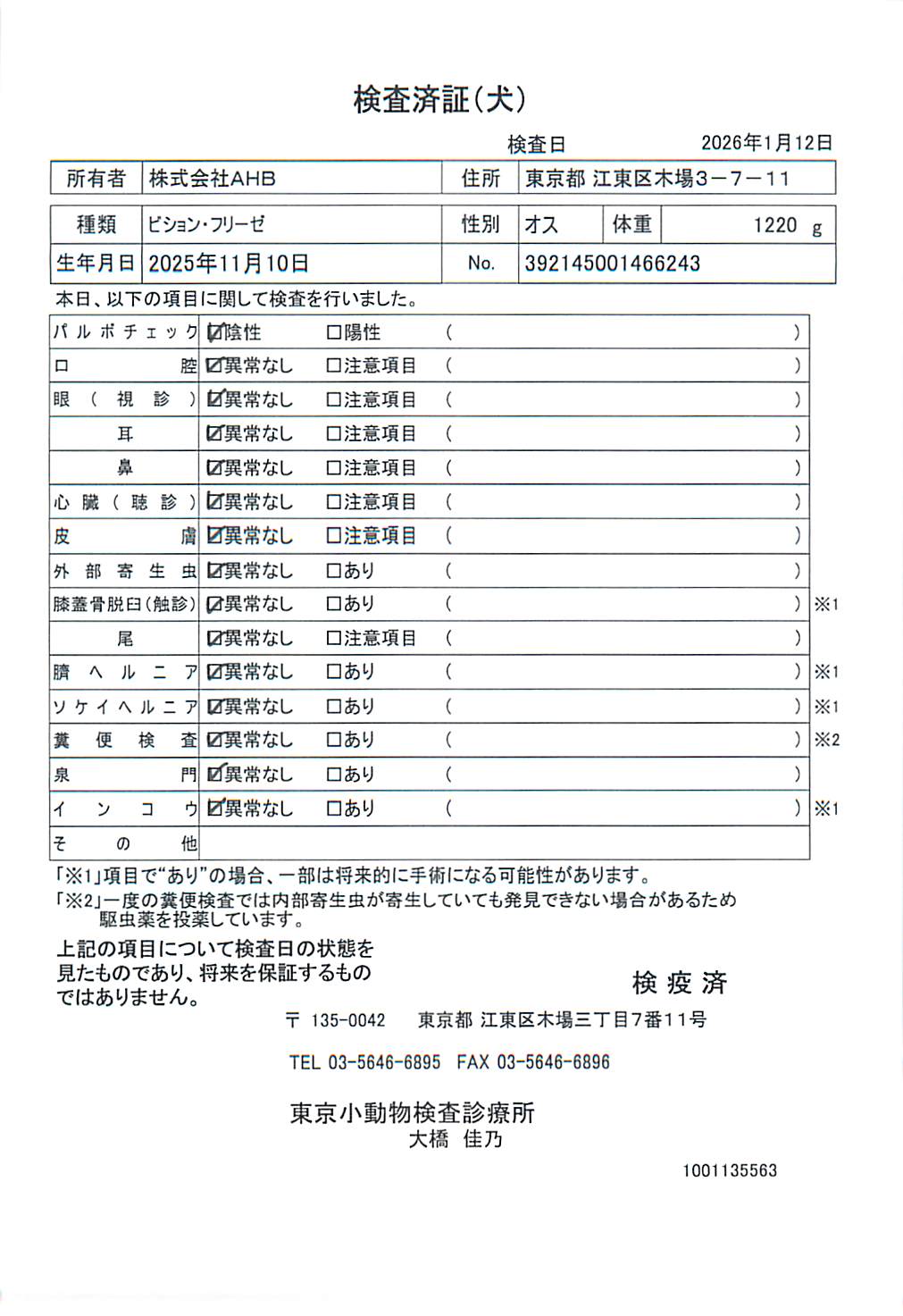 ビション・フリーゼ