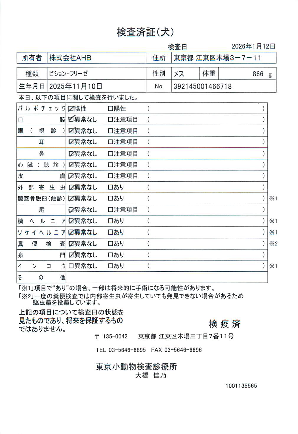 ビション・フリーゼ