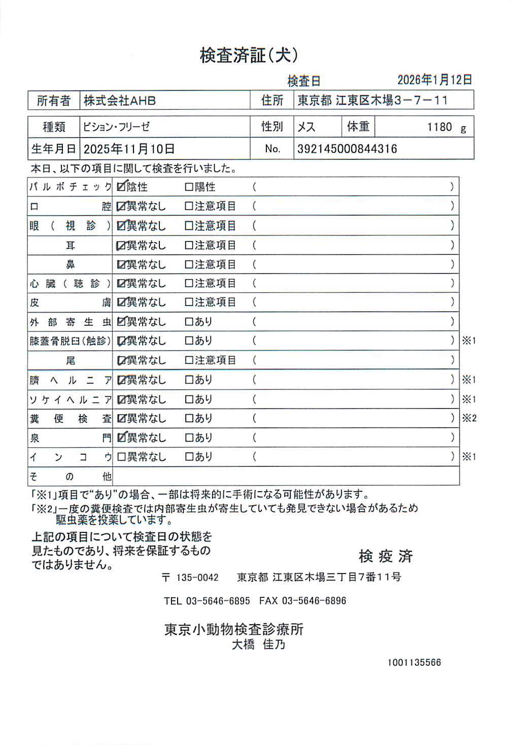 ビション・フリーゼ