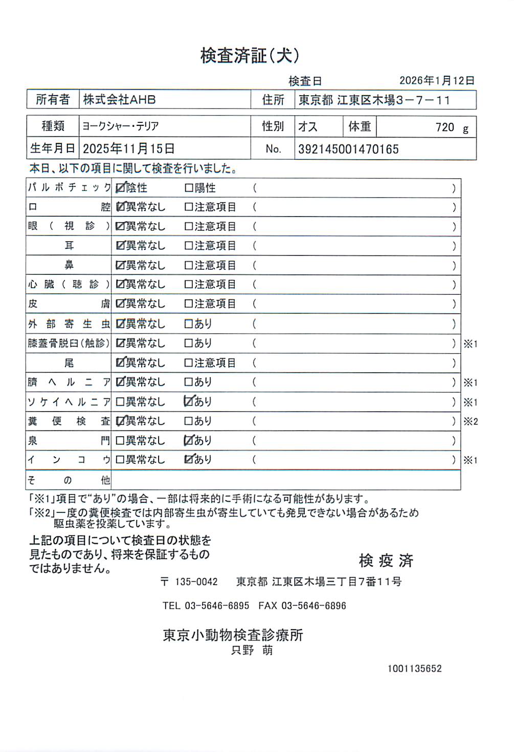 ヨークシャー・テリア
