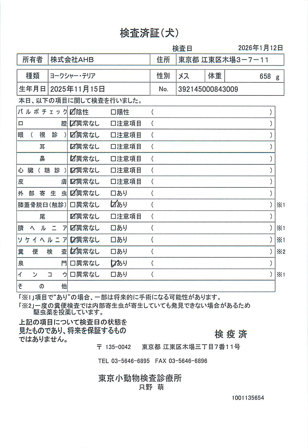 ヨークシャー・テリア