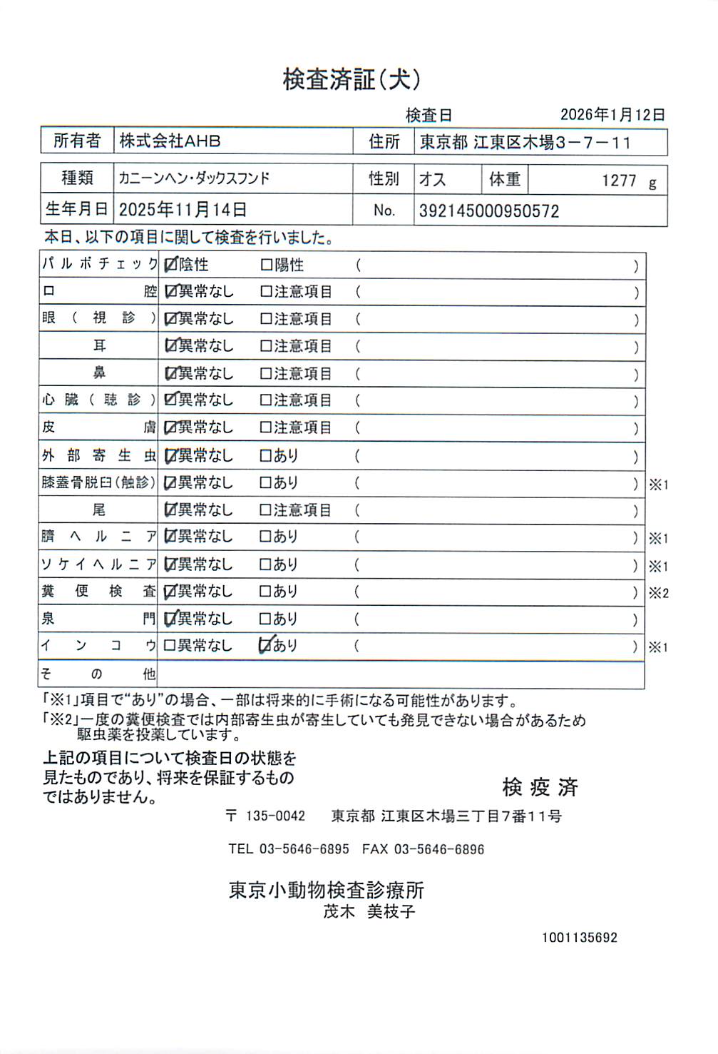 カニーンヘン・ダックスフンド