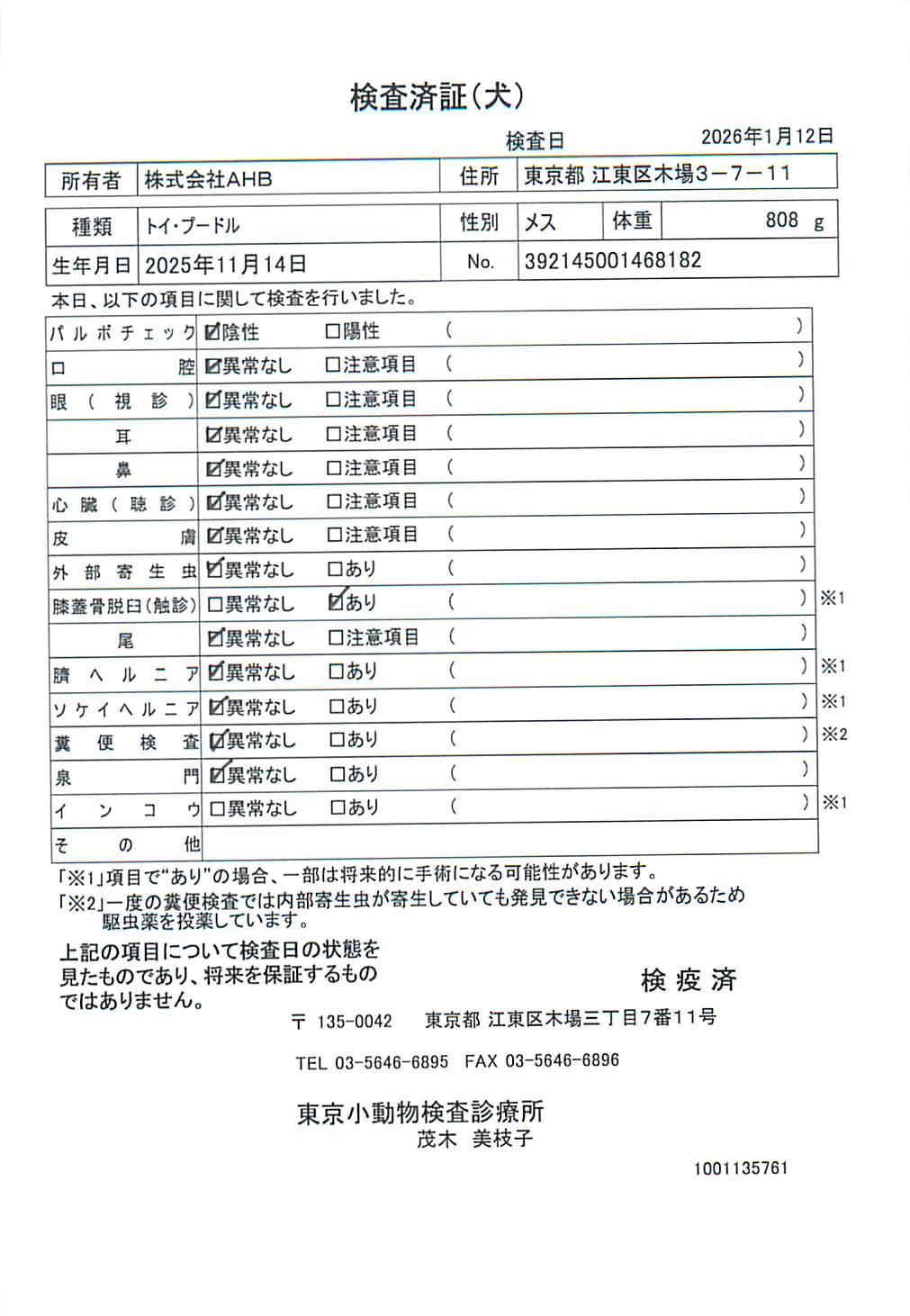 トイ・プードル