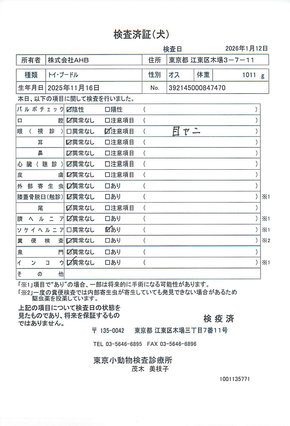トイ・プードル