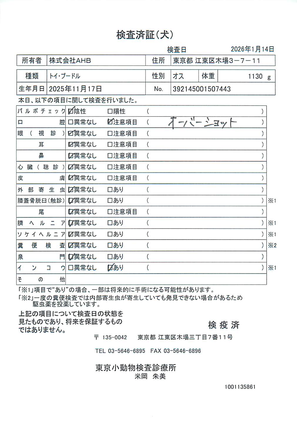 トイ・プードル