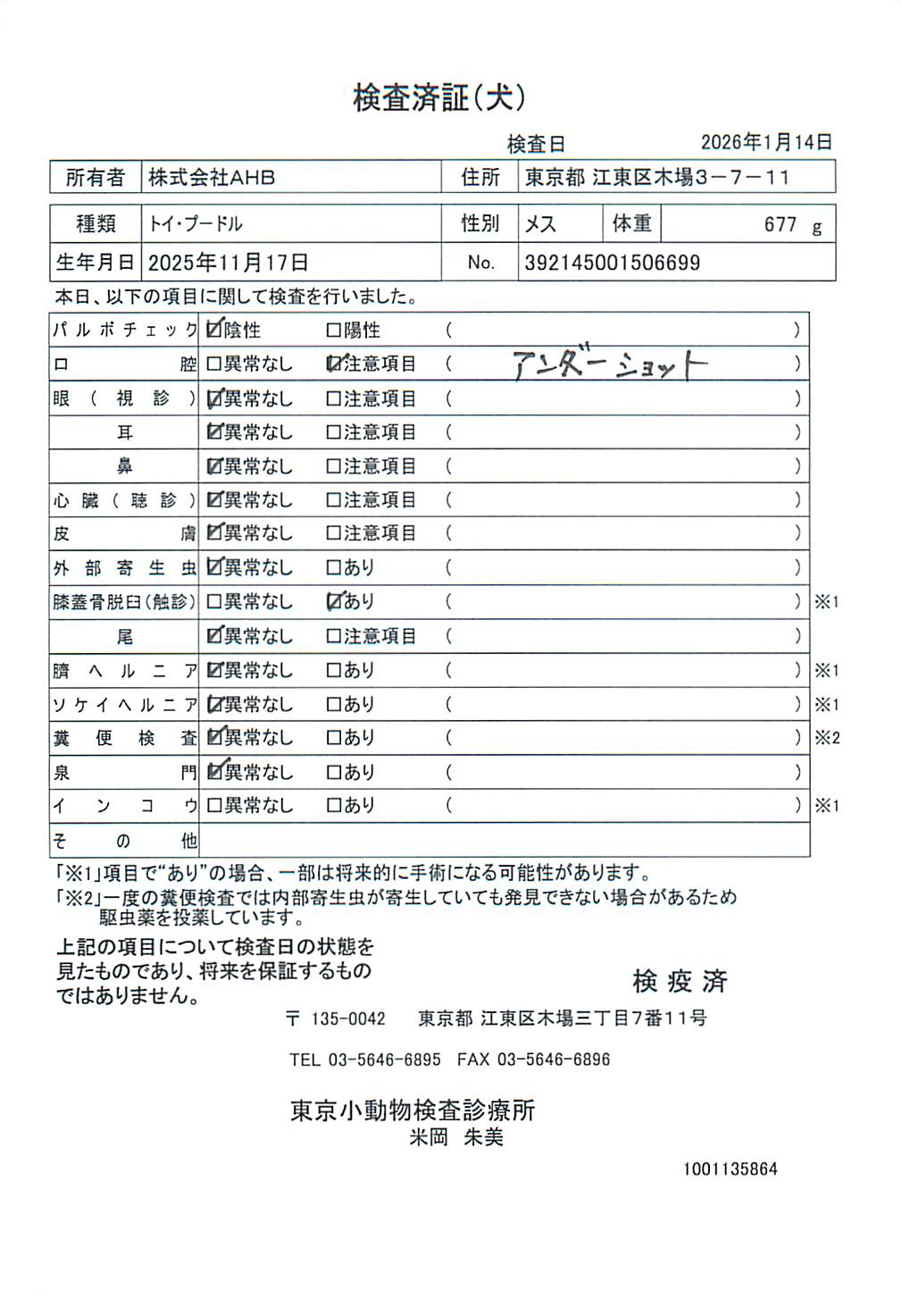 トイ・プードル