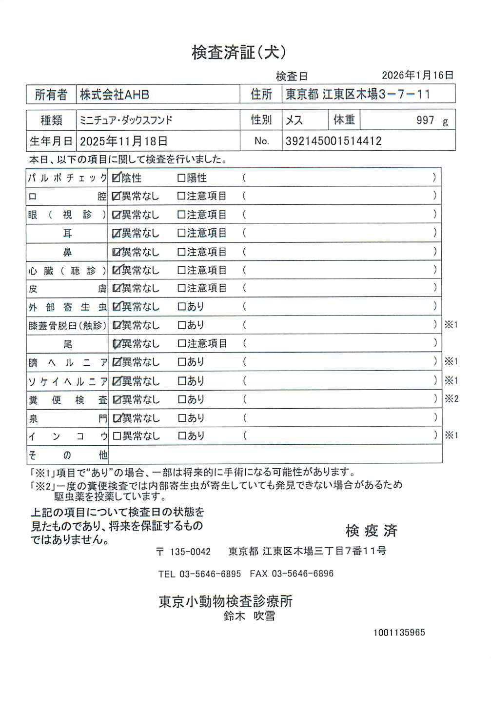 ミニチュア・ダックスフンド