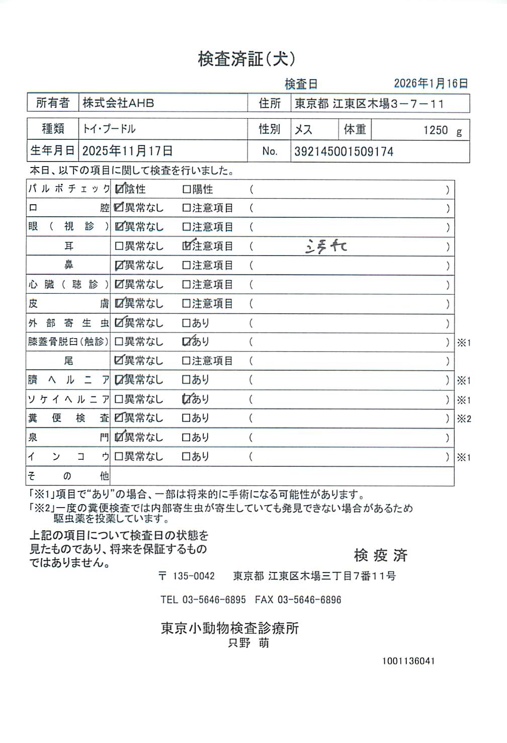トイ・プードル