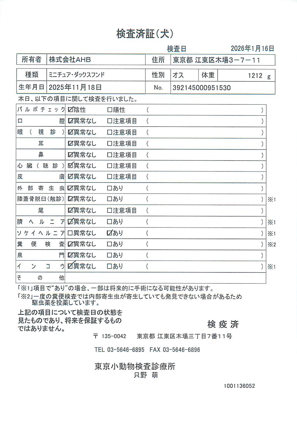 ミニチュア・ダックスフンド