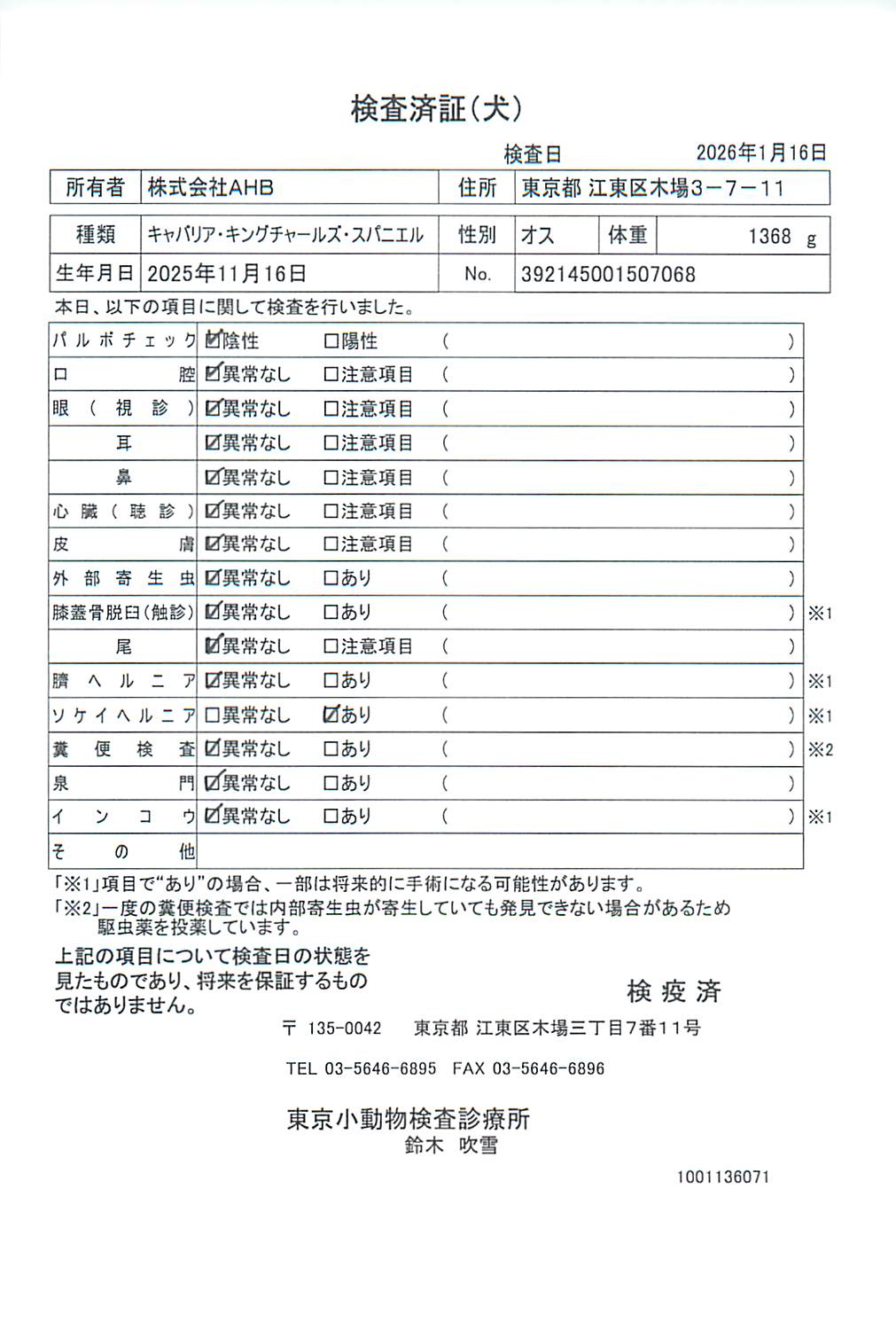 キャバリア・キングチャールズ・スパニエル