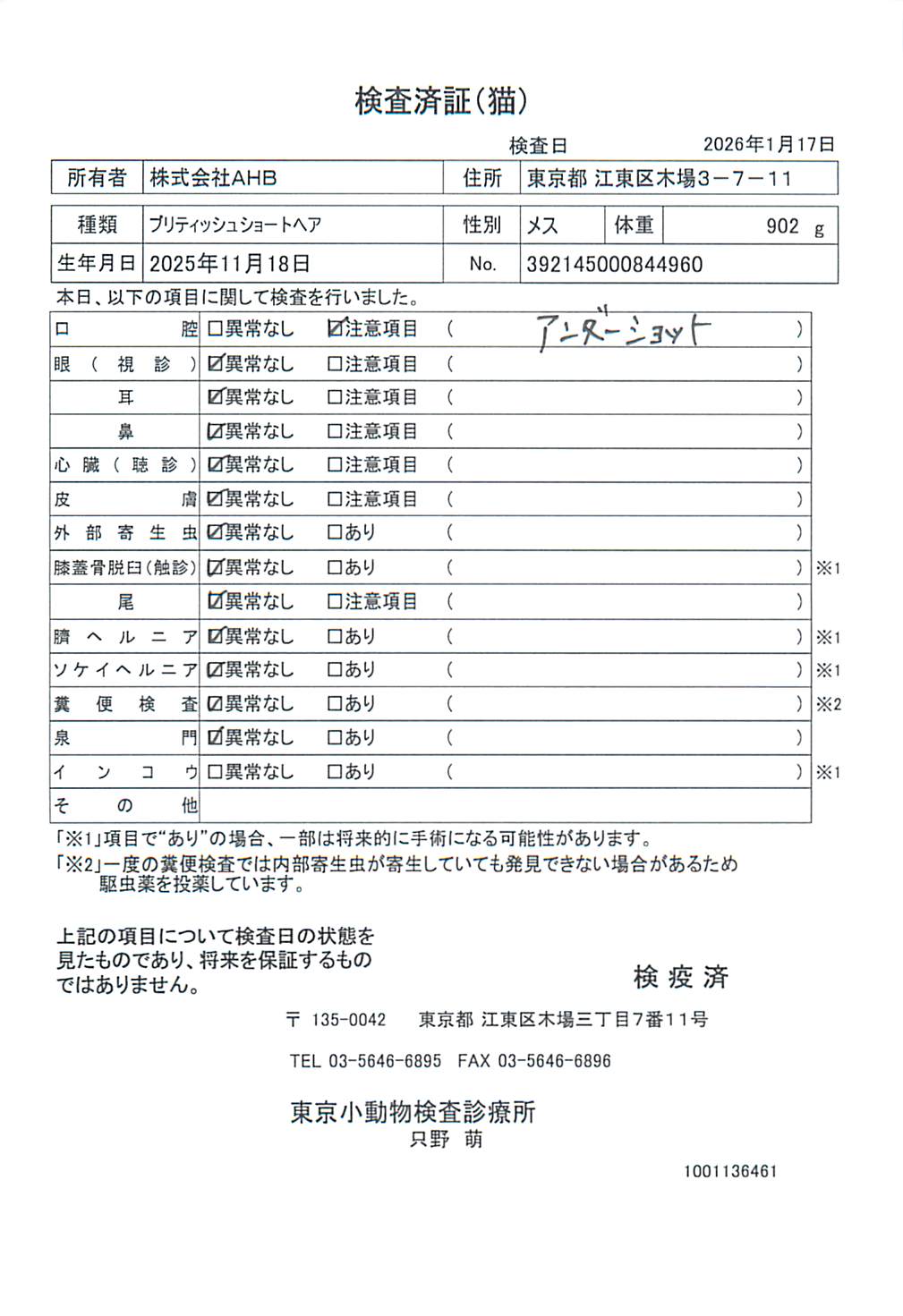 ブリティッシュショートヘア