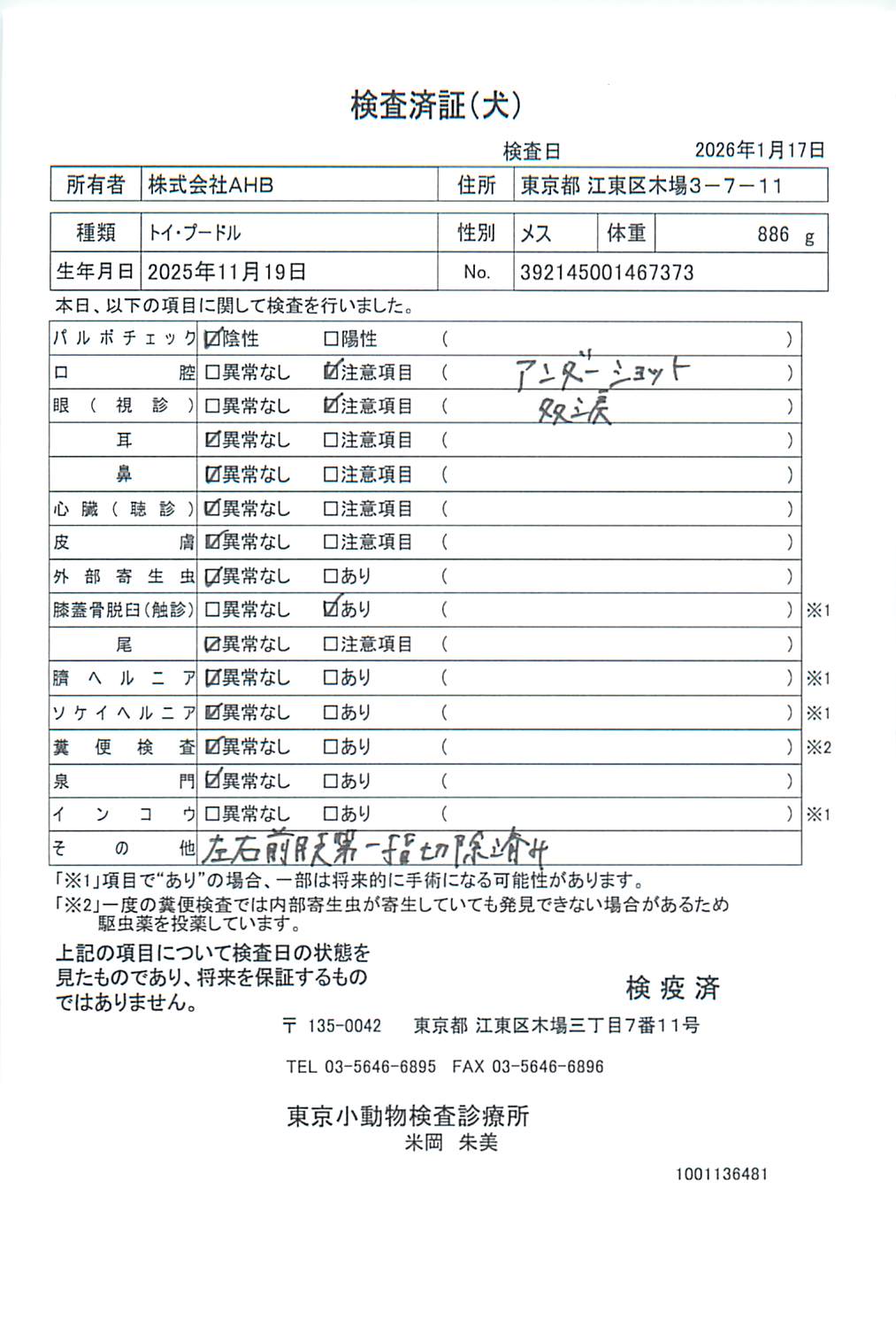 トイ・プードル