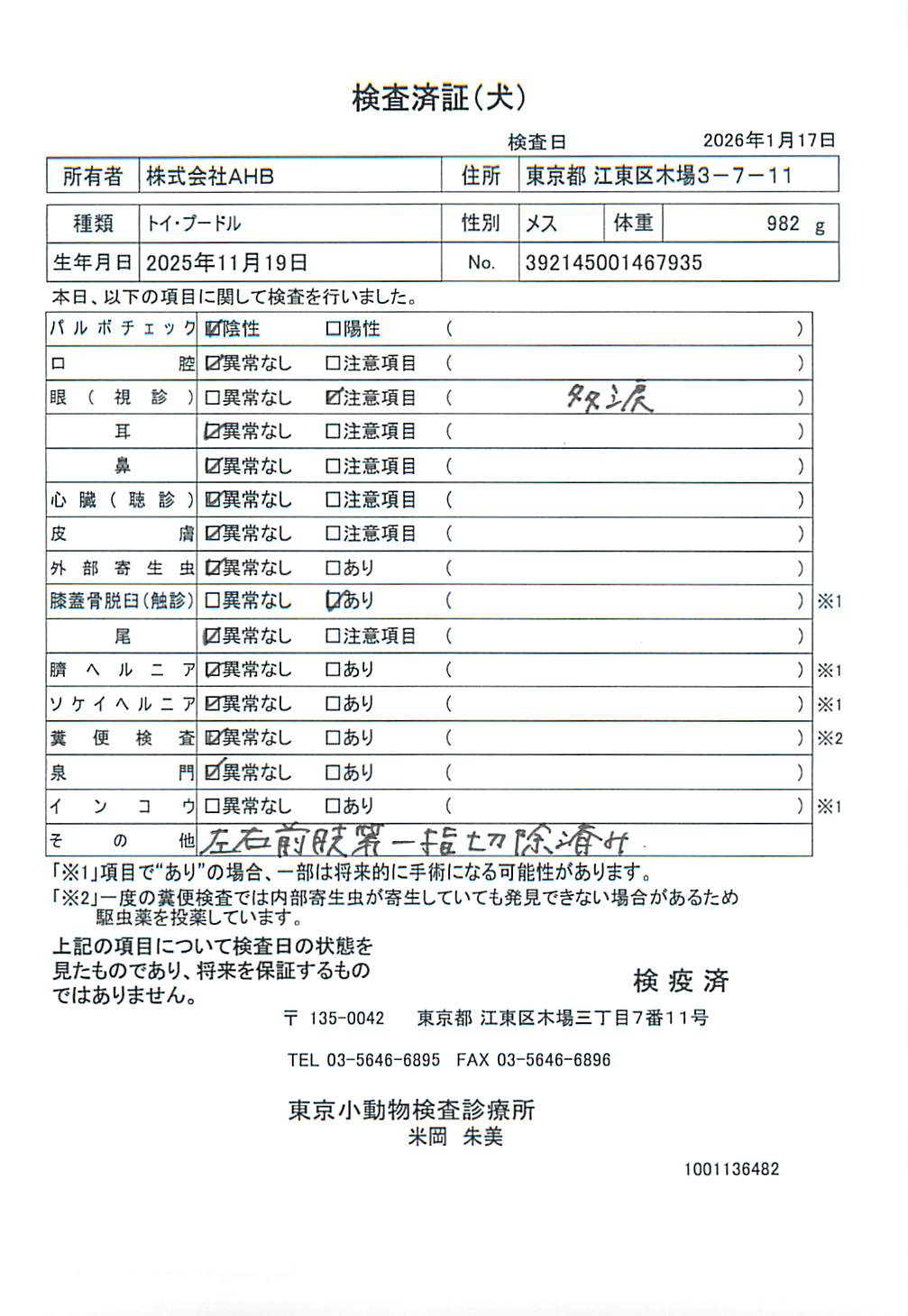 トイ・プードル