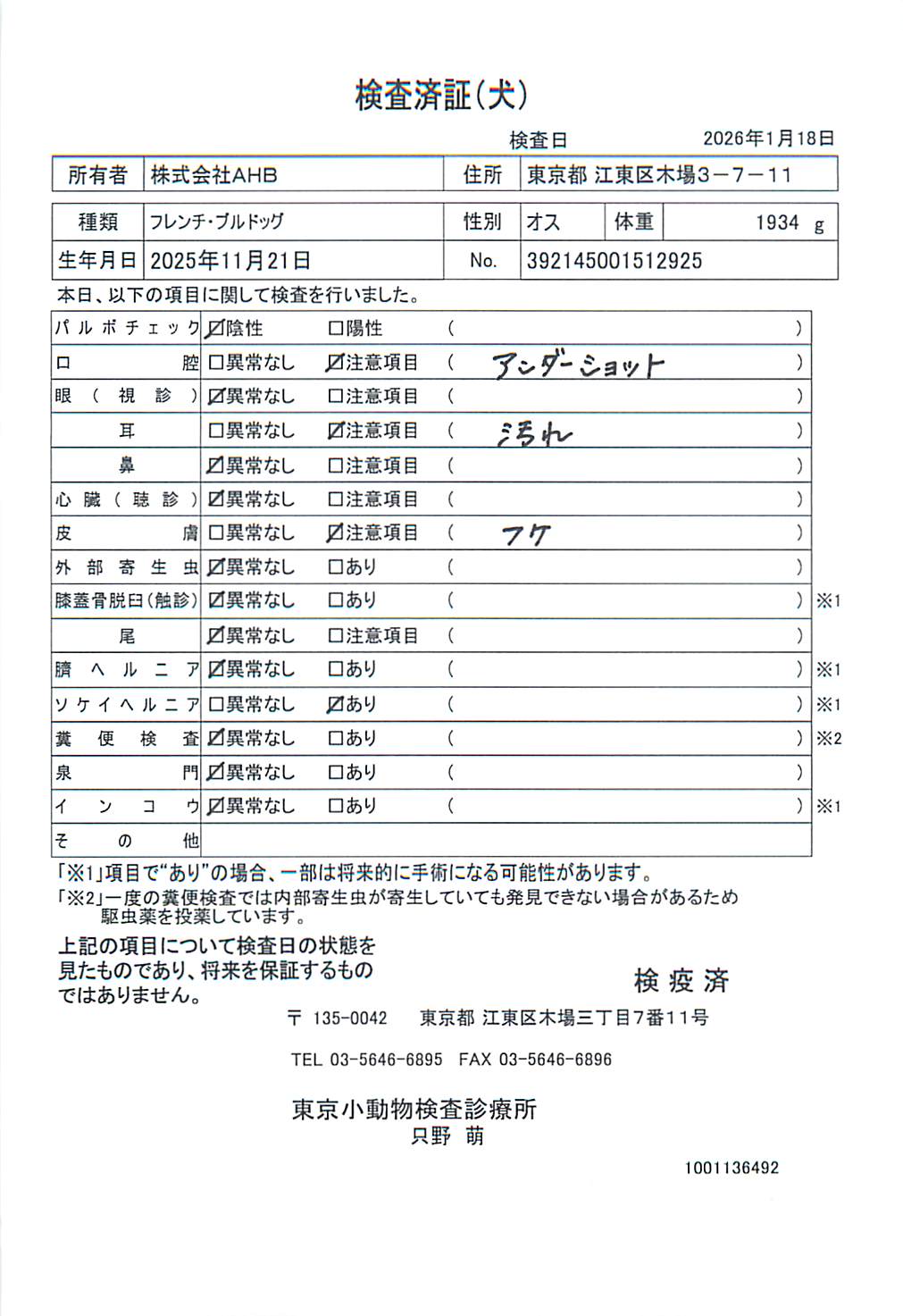フレンチ・ブルドッグ