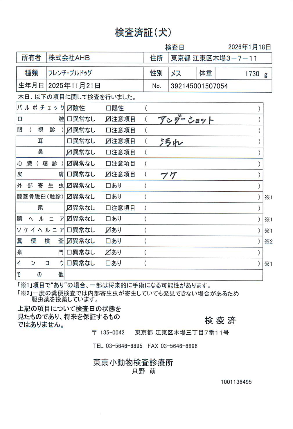 フレンチ・ブルドッグ