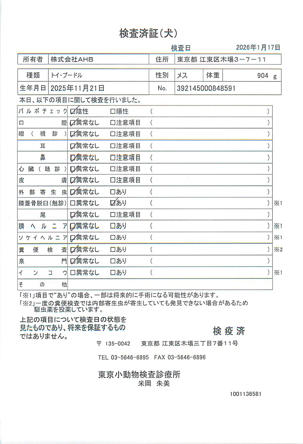 トイ・プードル