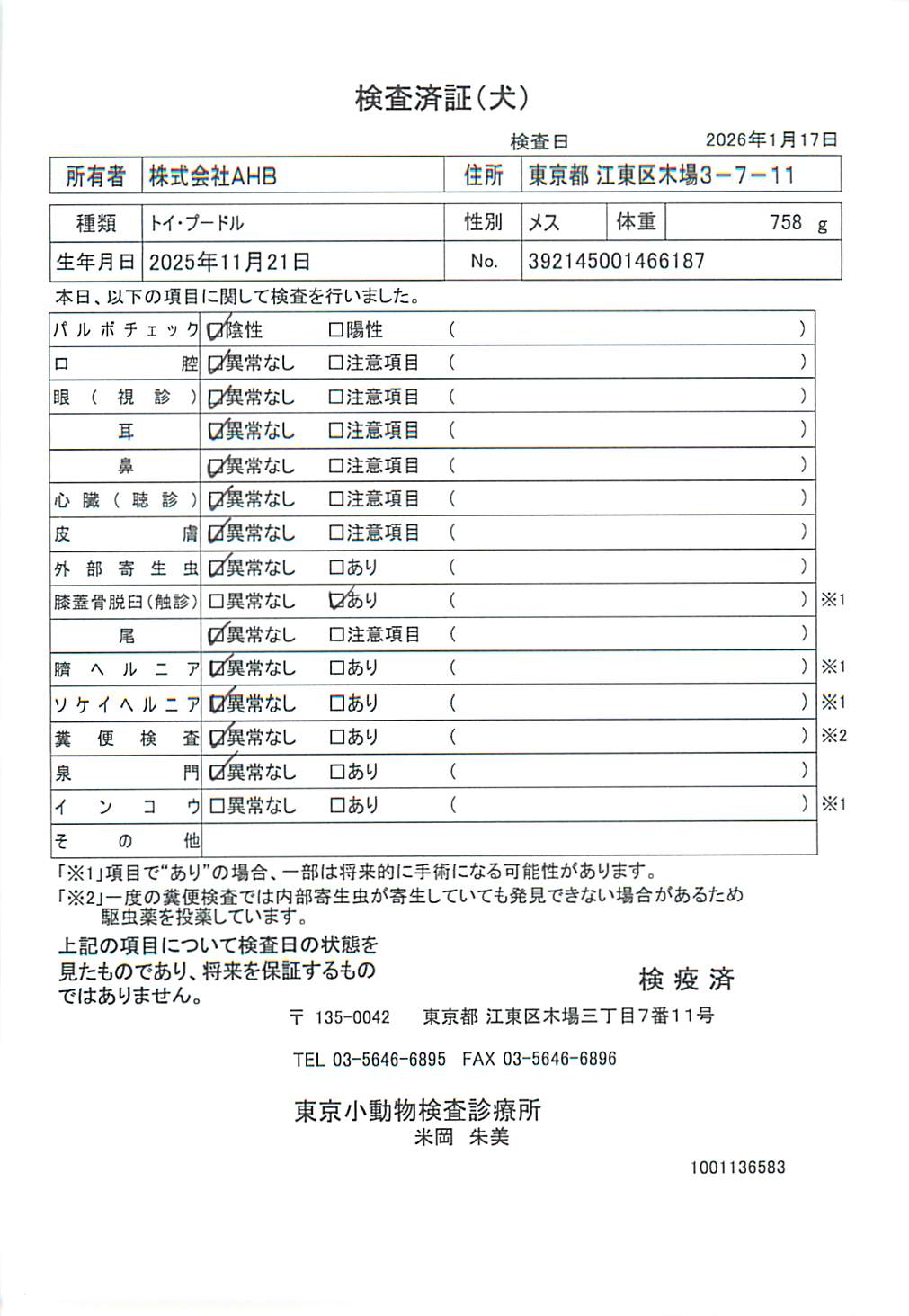 トイ・プードル