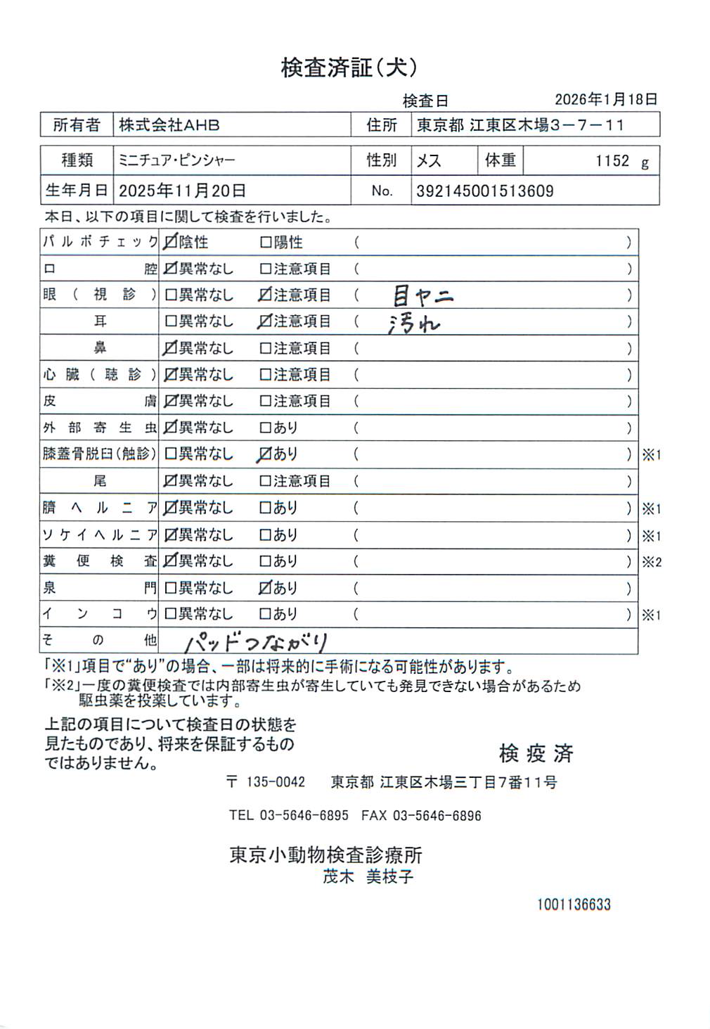 ミニチュア・ピンシャー