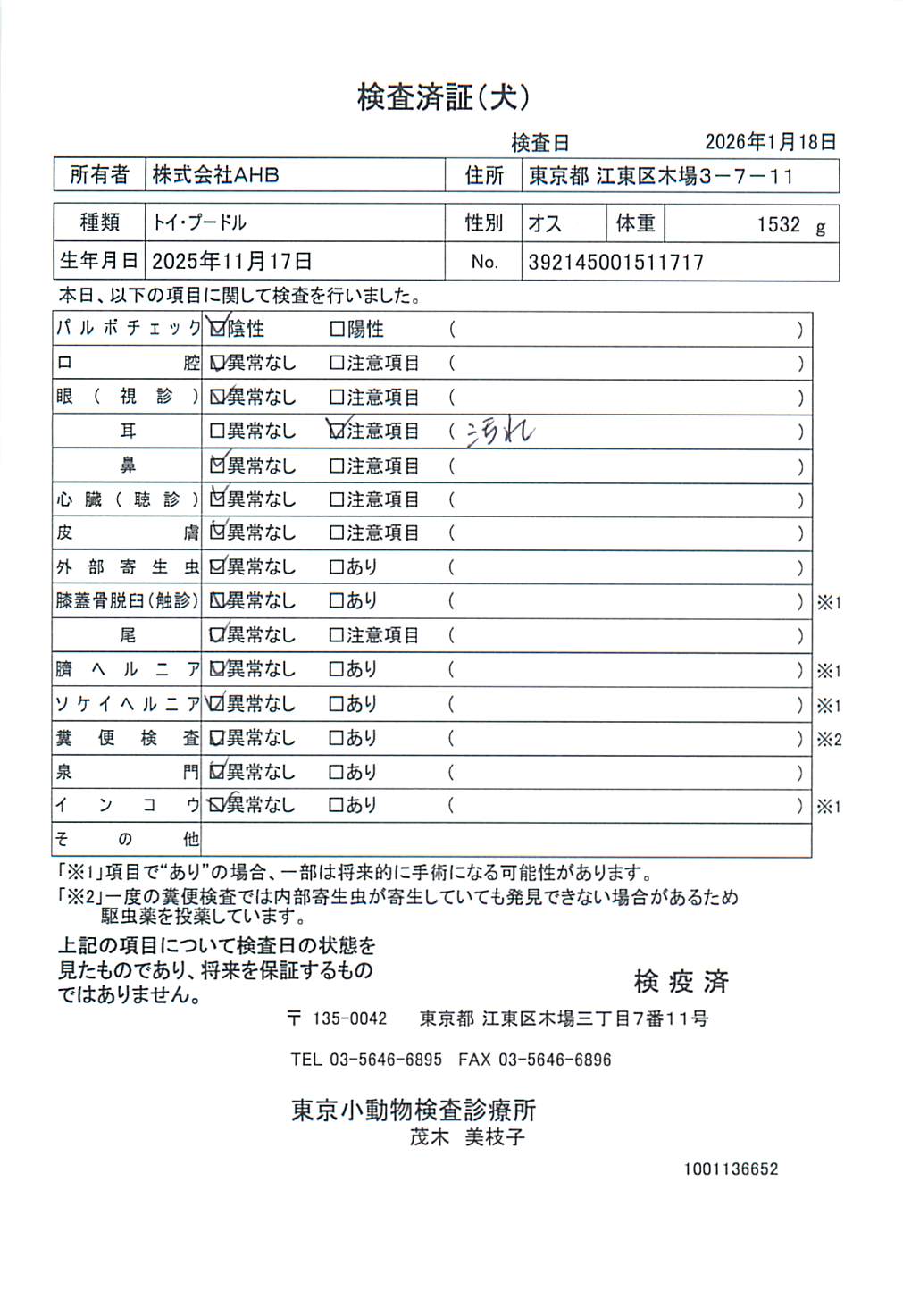 トイ・プードル