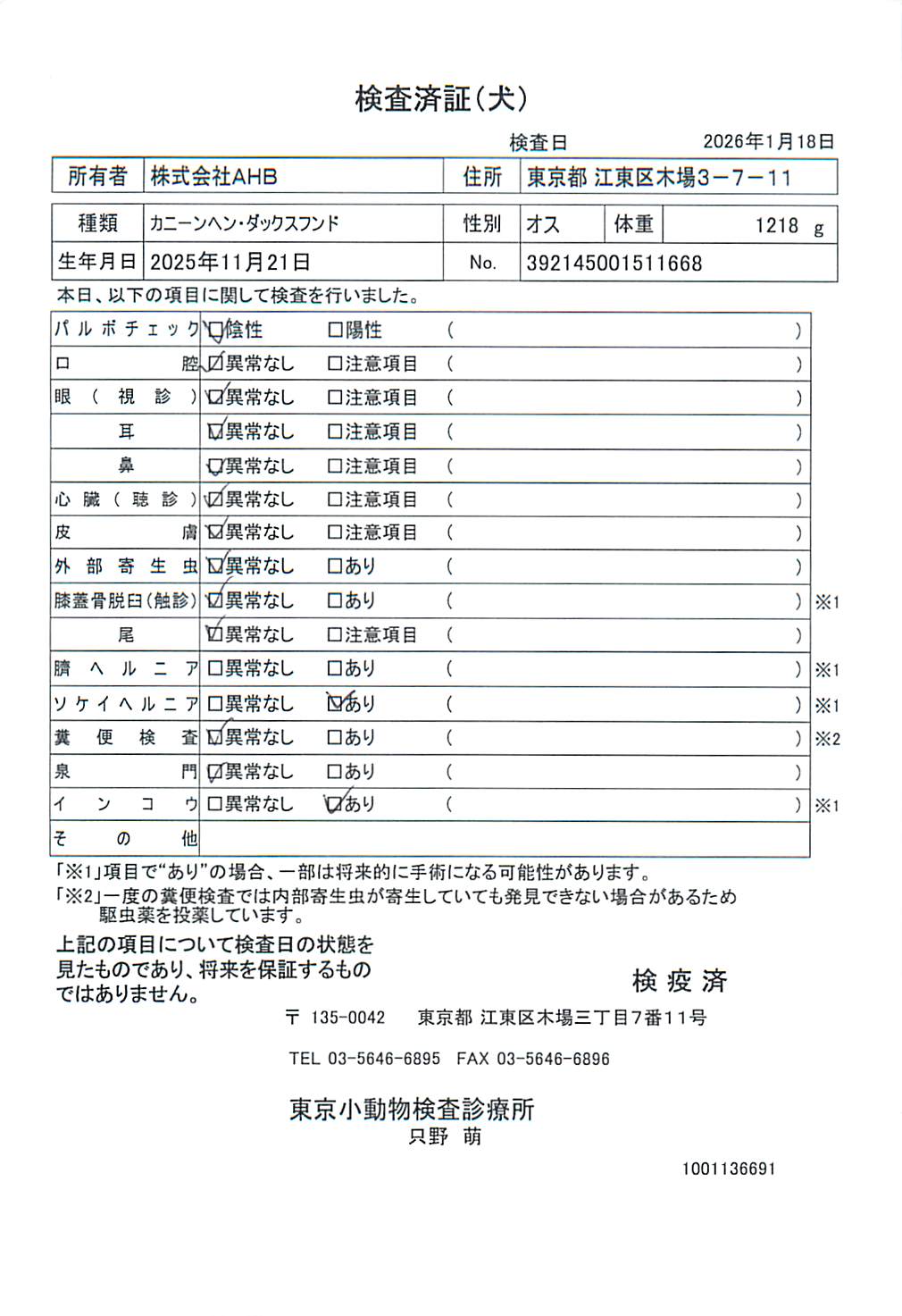 カニーンヘン・ダックスフンド