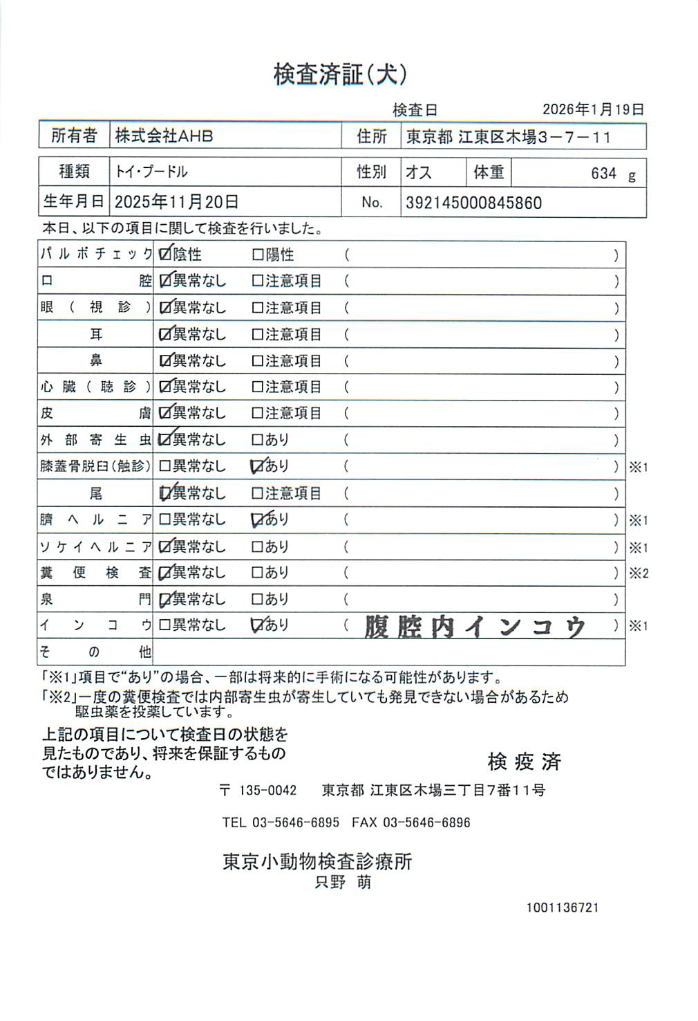 トイ・プードル