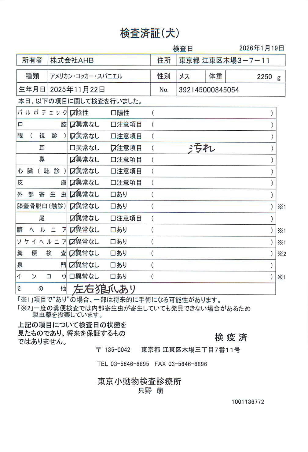 アメリカン・コッカー・スパニエル