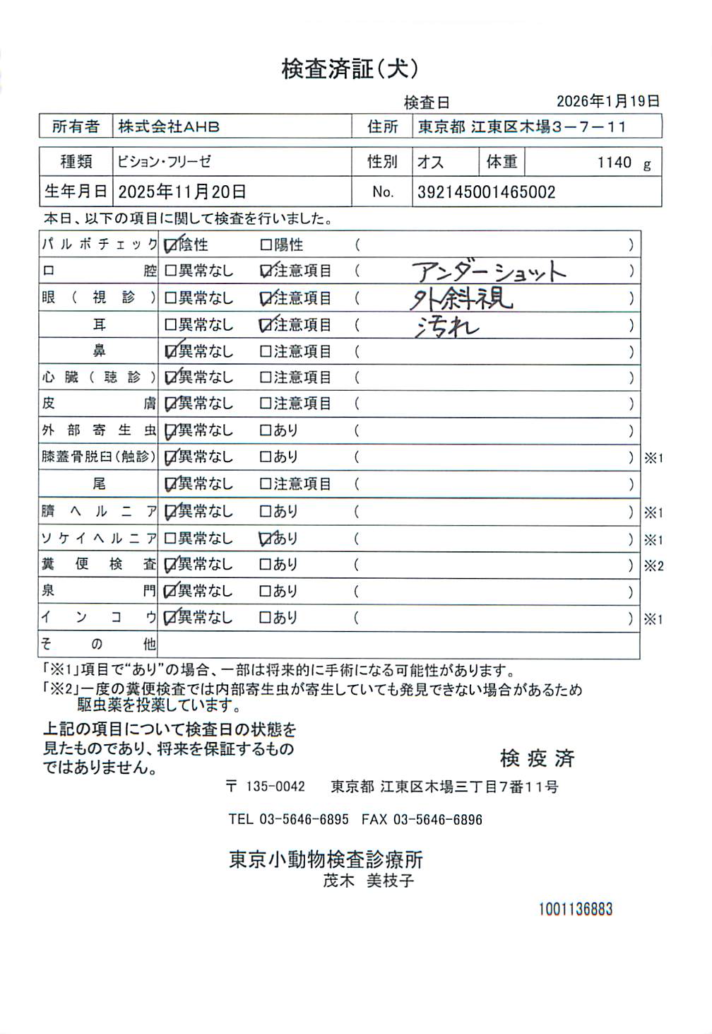 ビション・フリーゼ