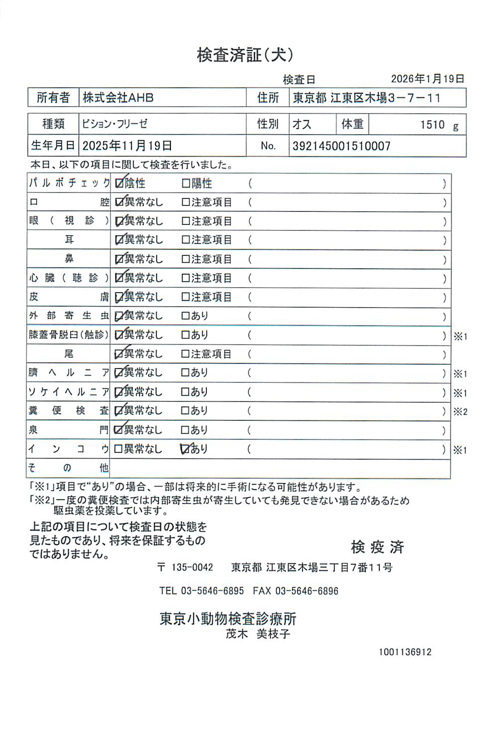 ビション・フリーゼ