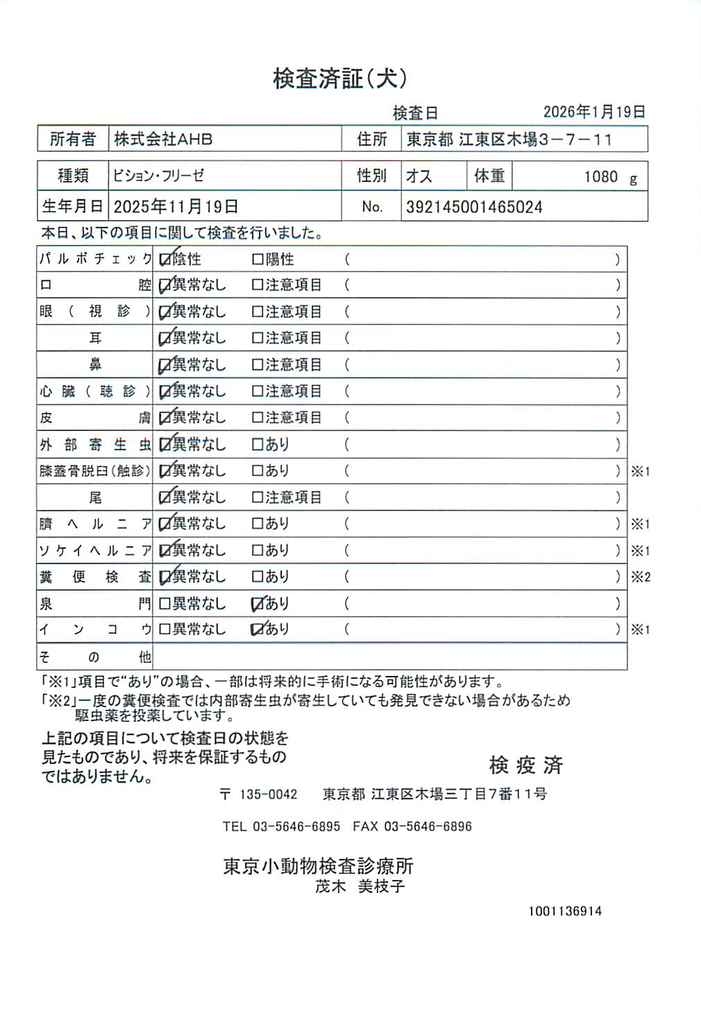 ビション・フリーゼ