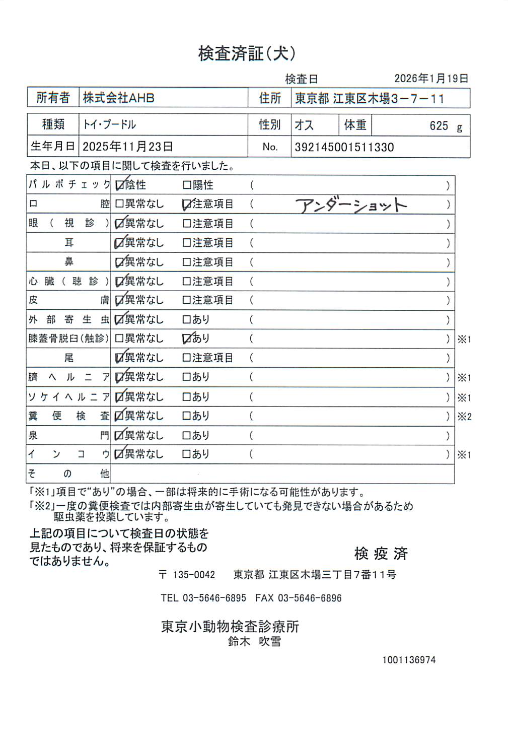 トイ・プードル