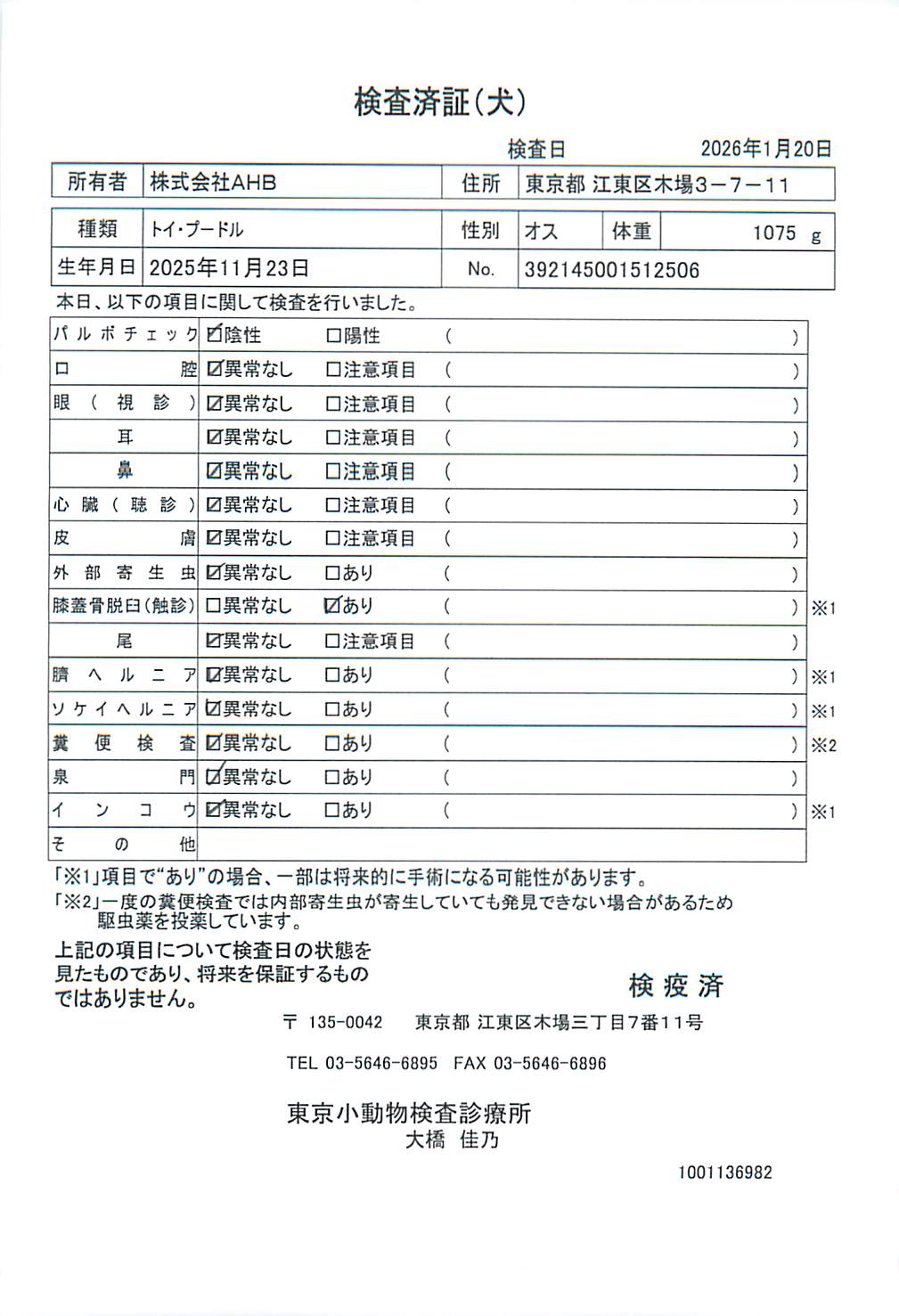 トイ・プードル