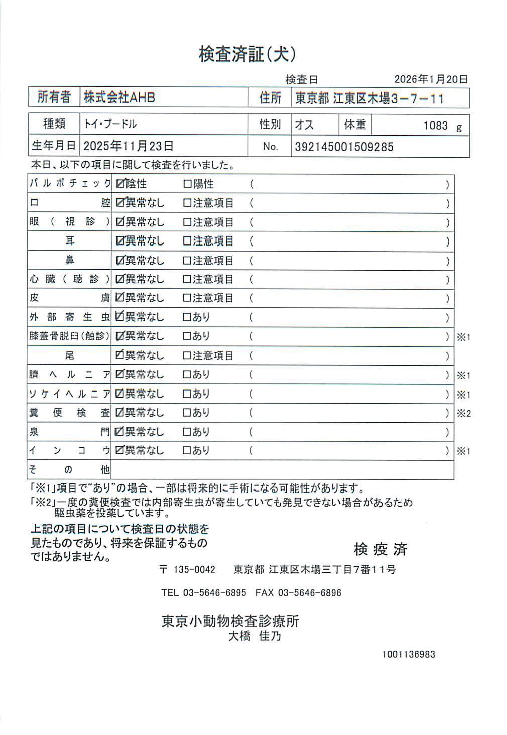 トイ・プードル