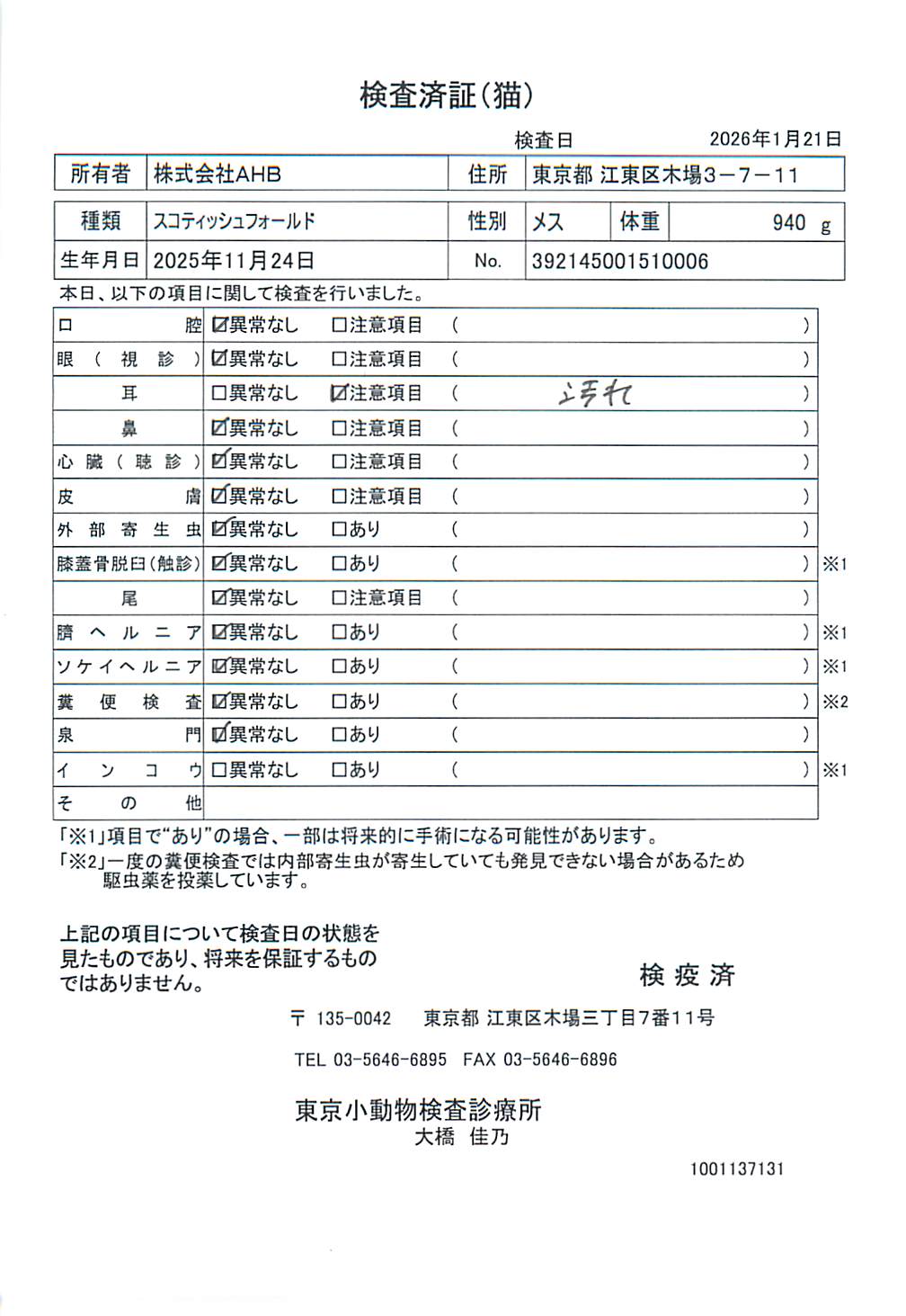 スコティッシュフォールド