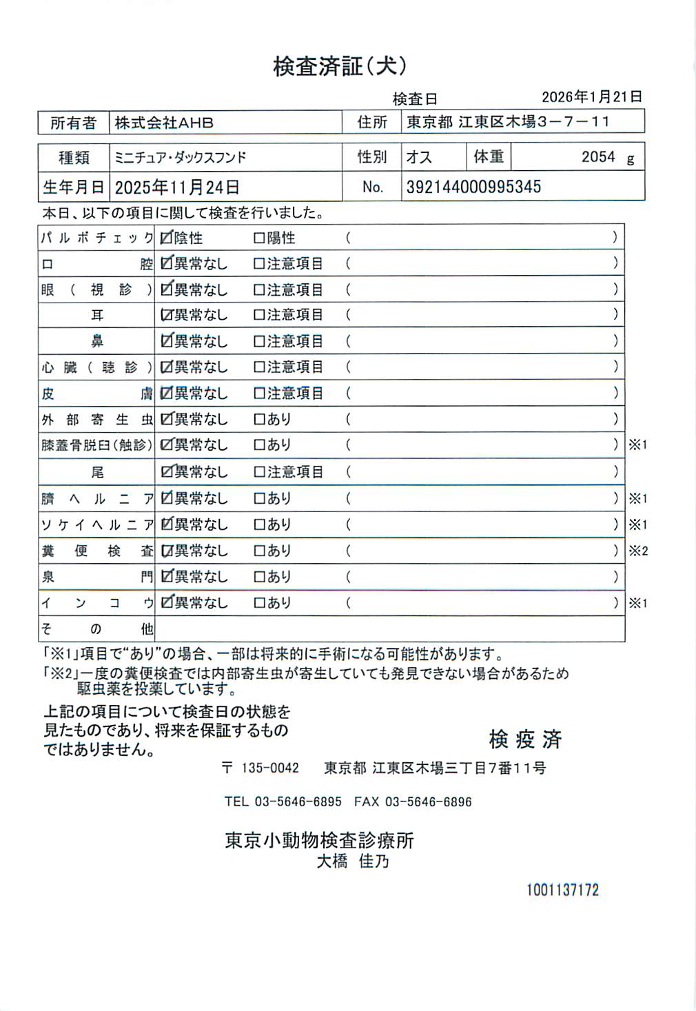 ミニチュア・ダックスフンド