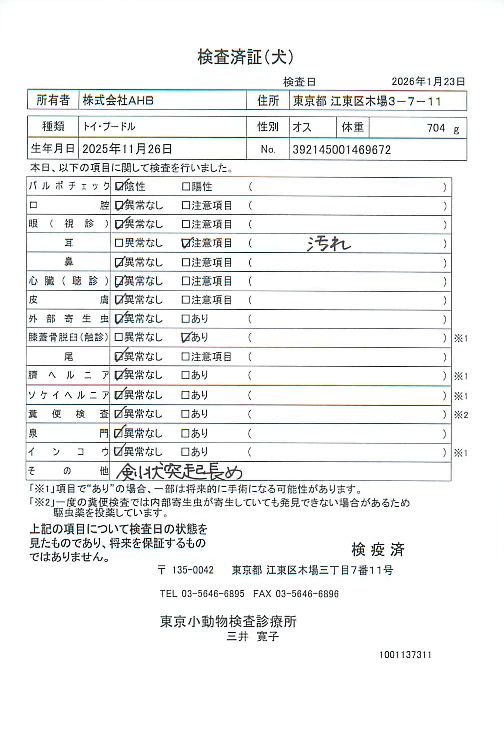 トイ・プードル