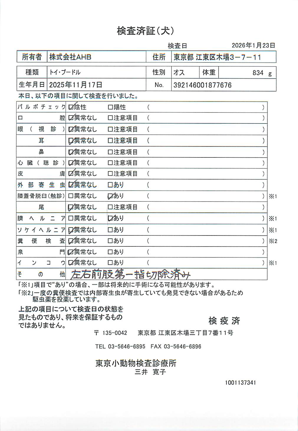 トイ・プードル