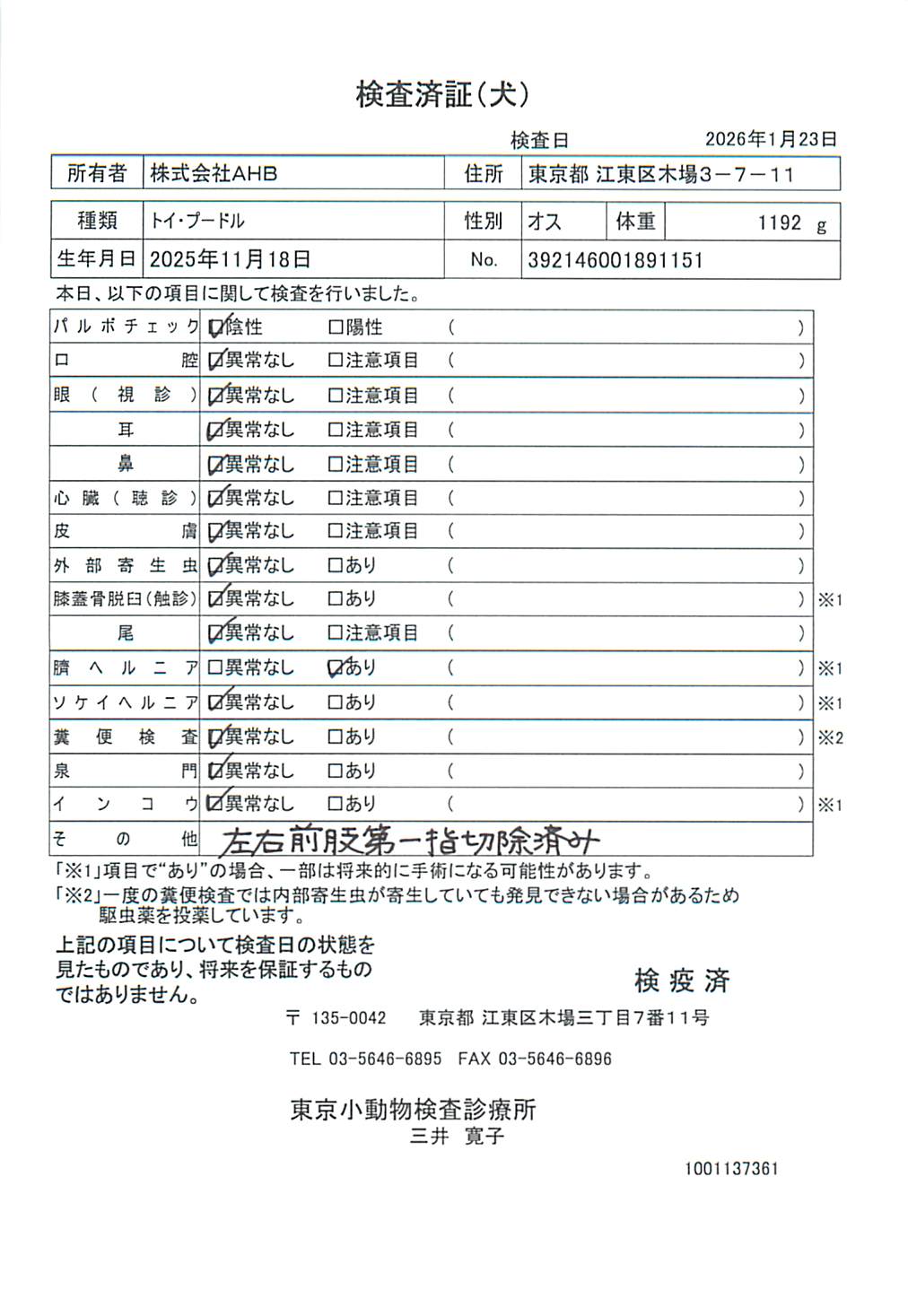 トイ・プードル