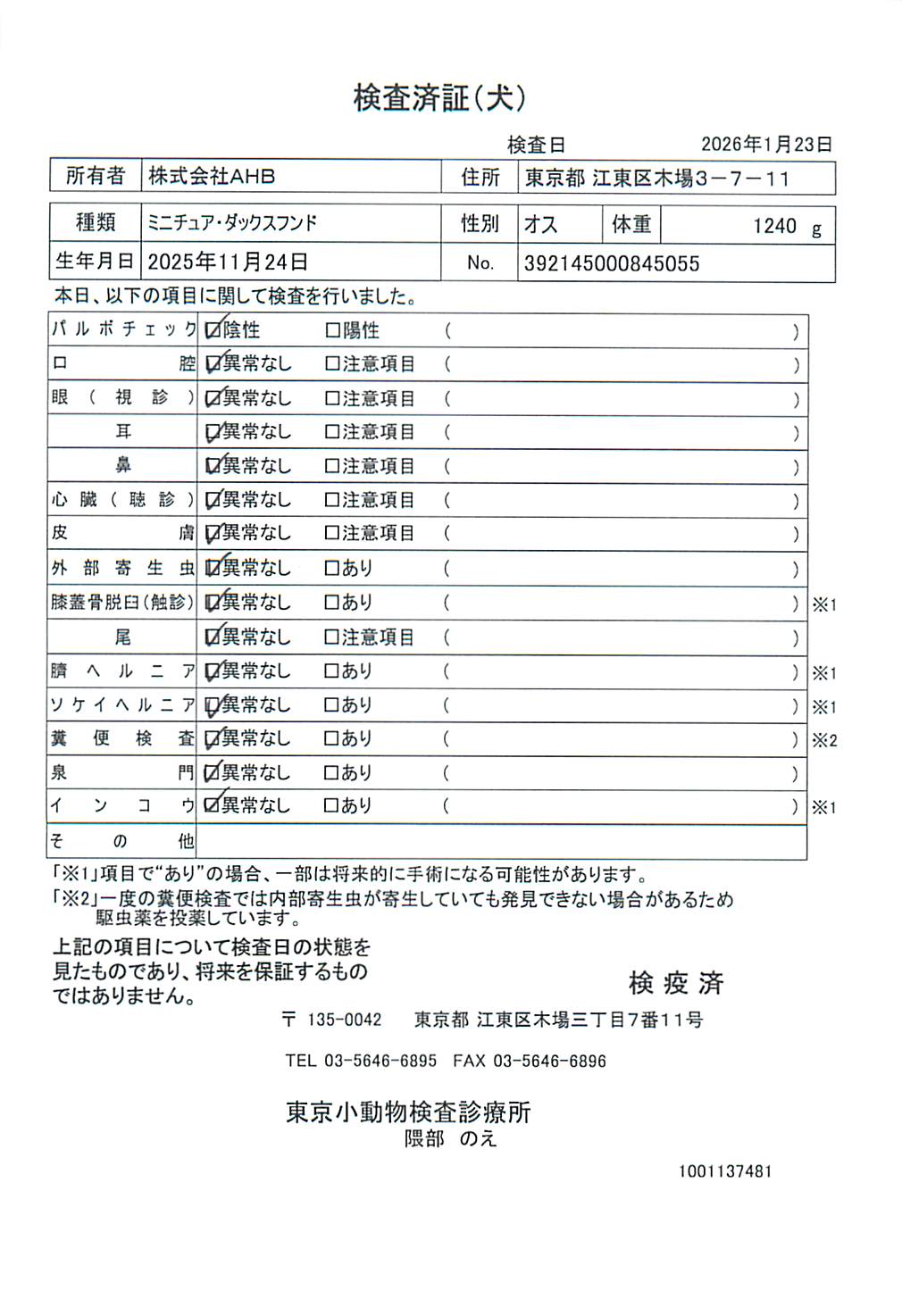 ミニチュア・ダックスフンド