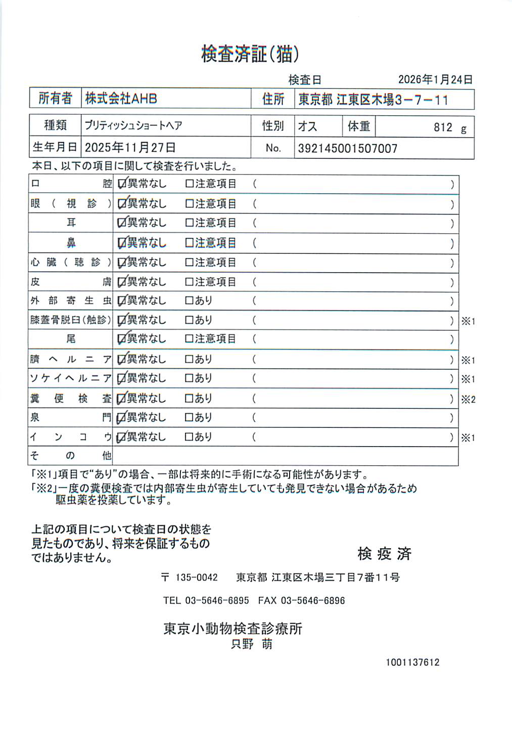 ブリティッシュショートヘア