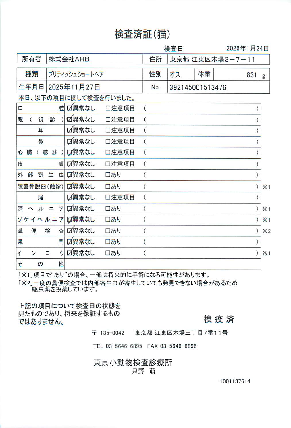 ブリティッシュショートヘア