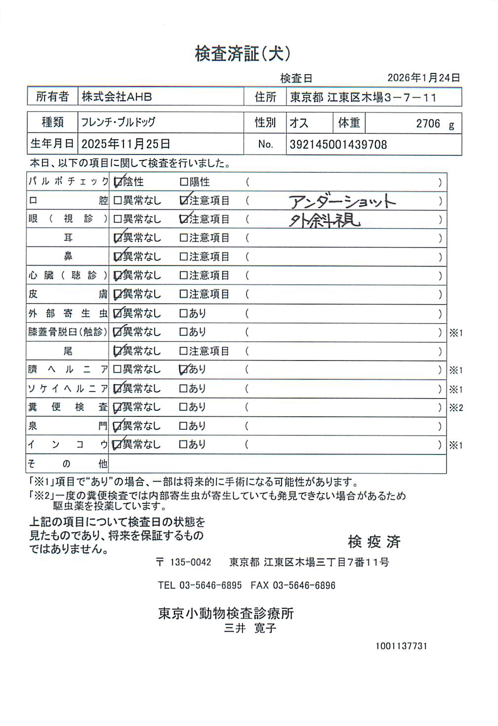 フレンチ・ブルドッグ