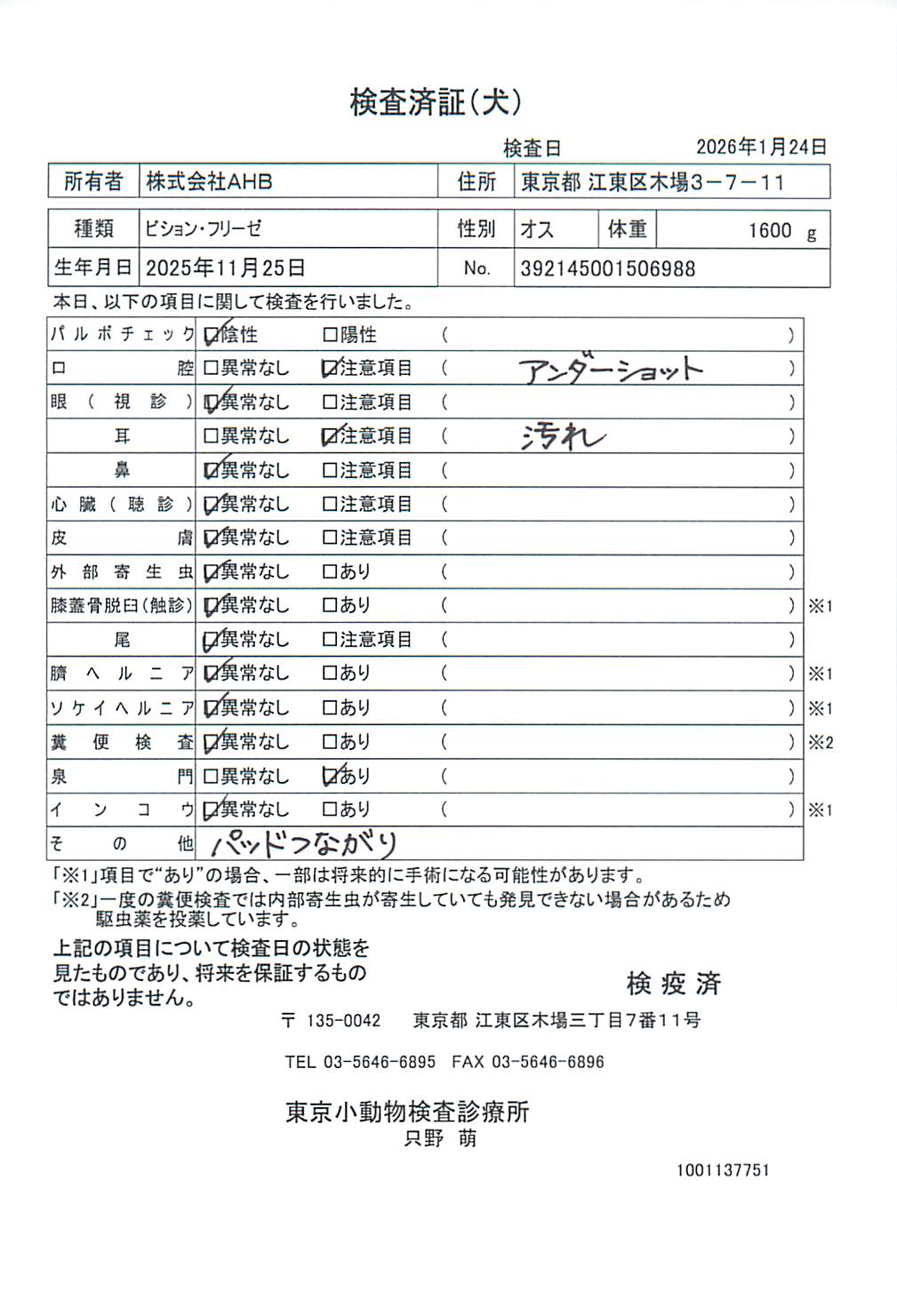 ビション・フリーゼ