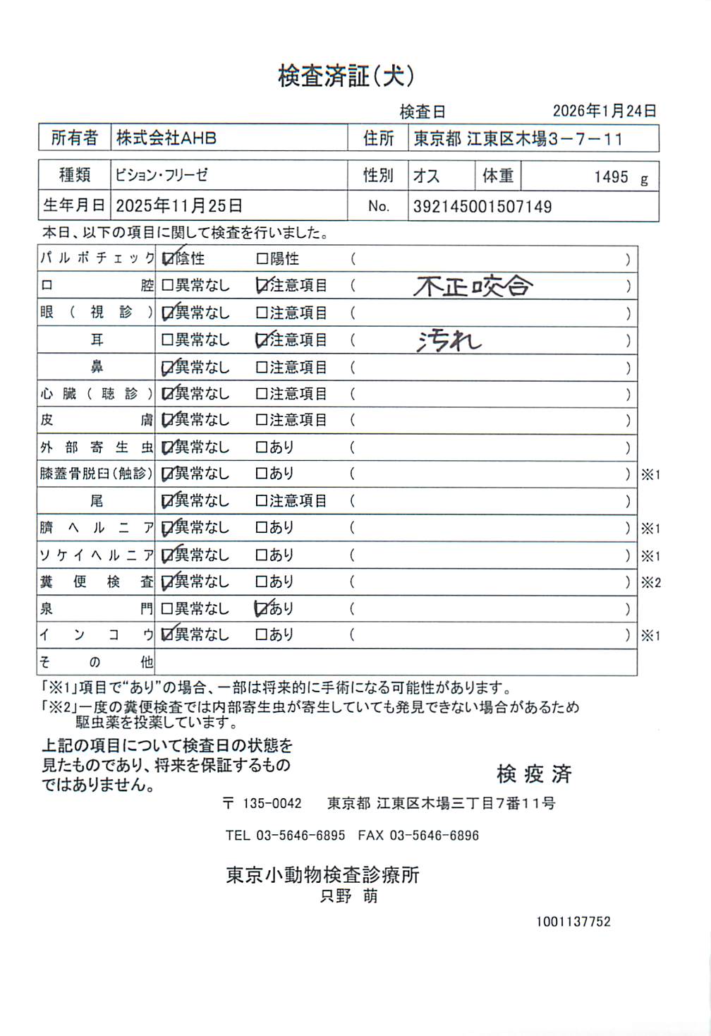 ビション・フリーゼ